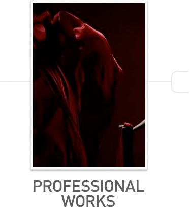 Professional Work