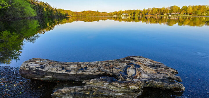 Wide-Angle Adventures